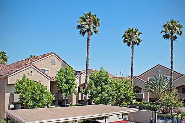 Solterra at Civic Center - Photo 3 of 17