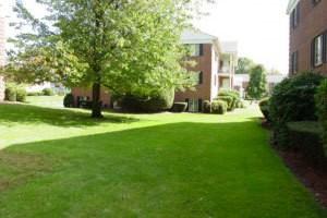 Minuteman Village - Photo 3 of 11