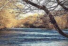 River Country Apartments - Photo 2 of 2