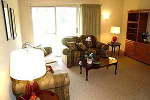 East Garden - Photo 3 of 13