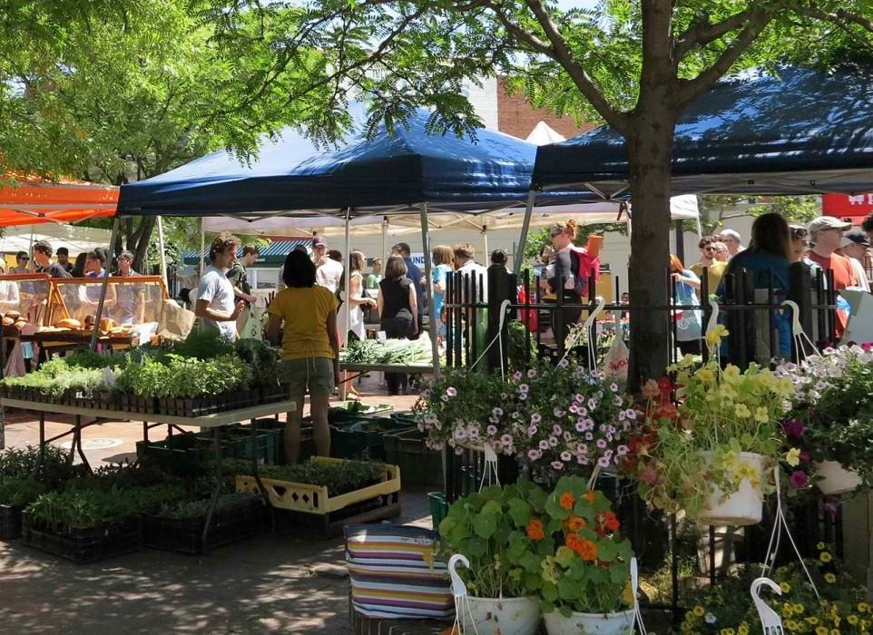 Majestic - Photo 2 of 9