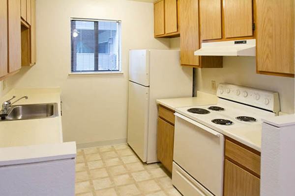 Terra Apartments - Photo 3 of 3