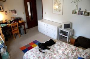 902 Jenifer St - Photo 5 of 8