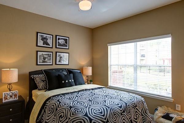 Park Lakes Apartments - Photo 2 of 20