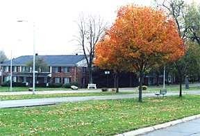 Great Oaks Apartments - Photo 2 of 19