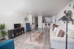 Premier Apartments LLC - Photo 1 of 1