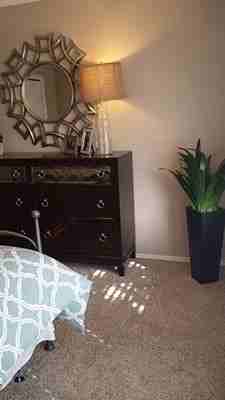 Papillon Parc Townhomes - Photo 3 of 18