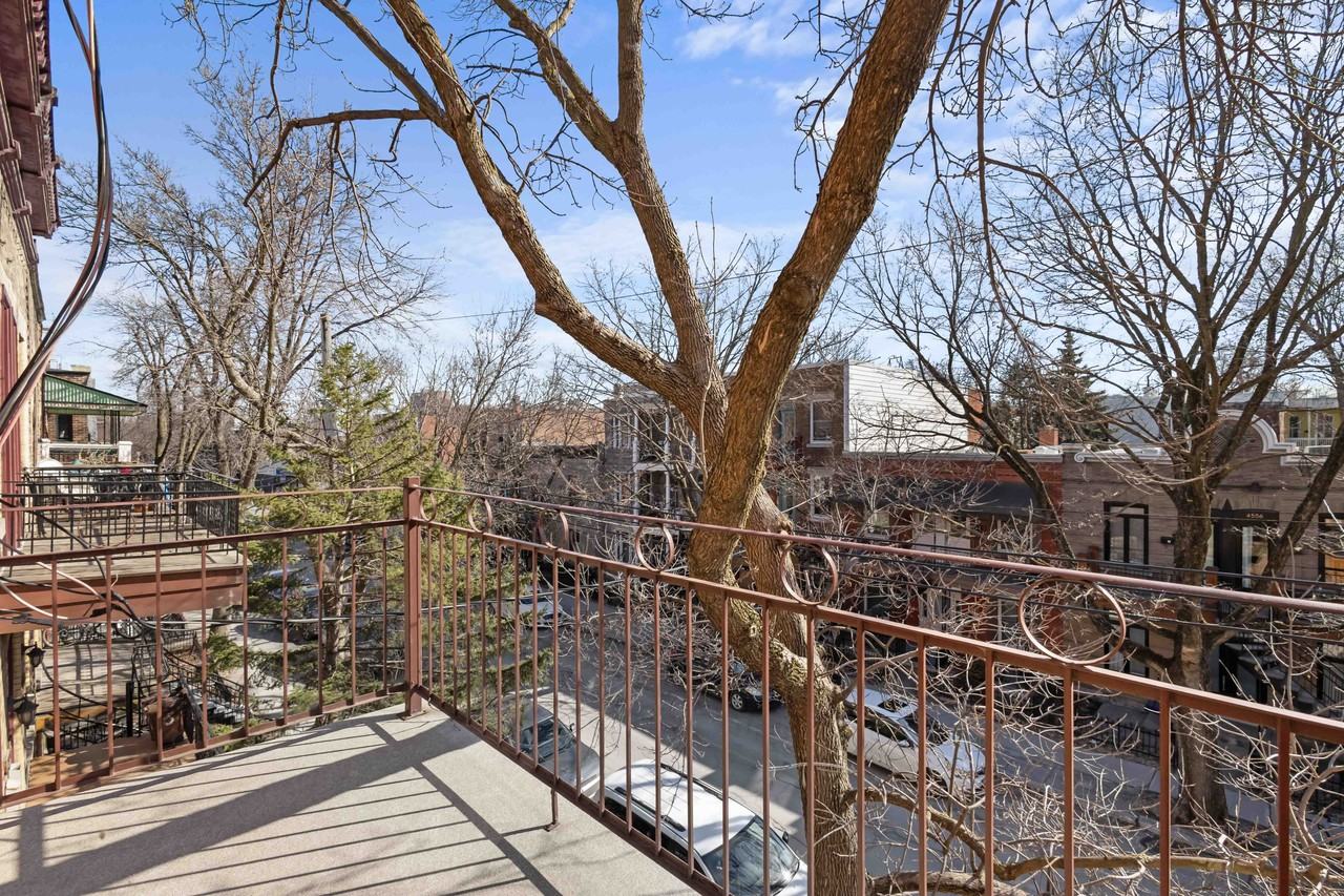 4561 Avenue des Érables - Photo 2 of 13