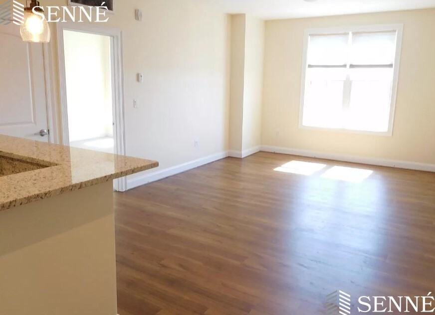 315 Broadway #205 - Photo 4 of 7