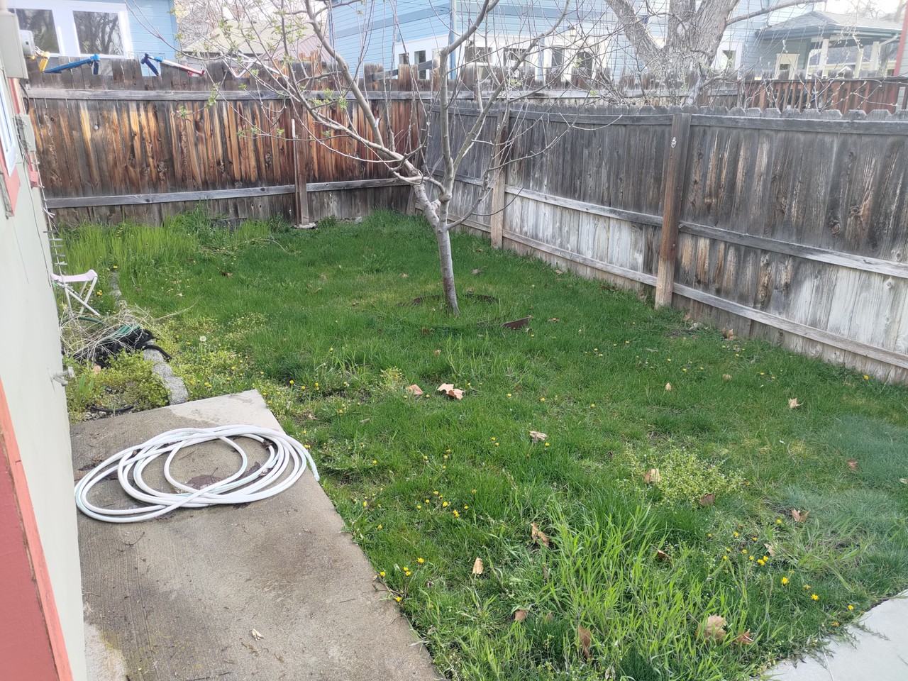 1303 N 14th St - Photo 2 of 12