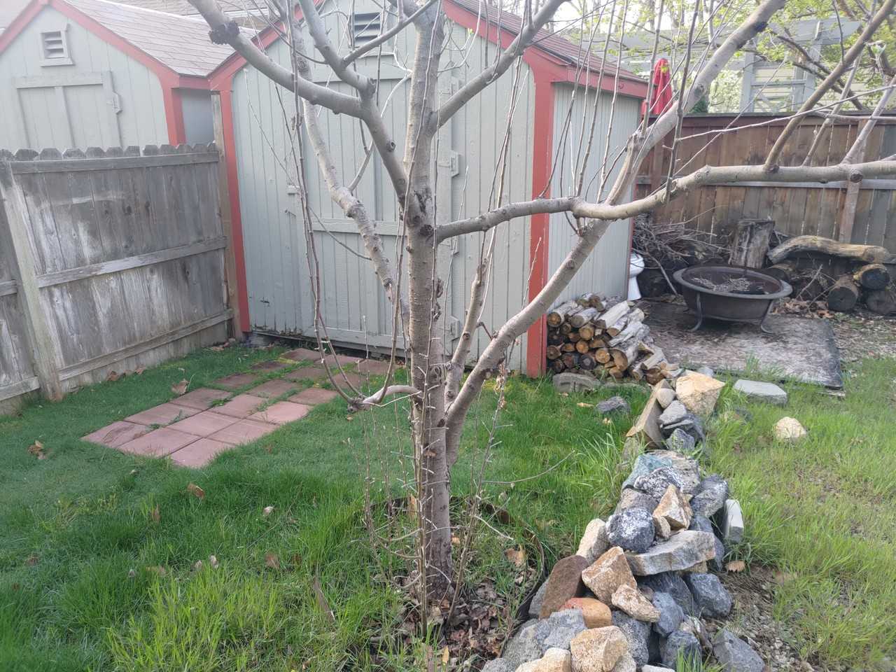 1303 N 14th St - Photo 3 of 12