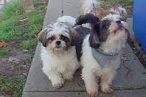 St. James Terrace Apartments 80 30th St, Newport News, VA 23607 Zumper