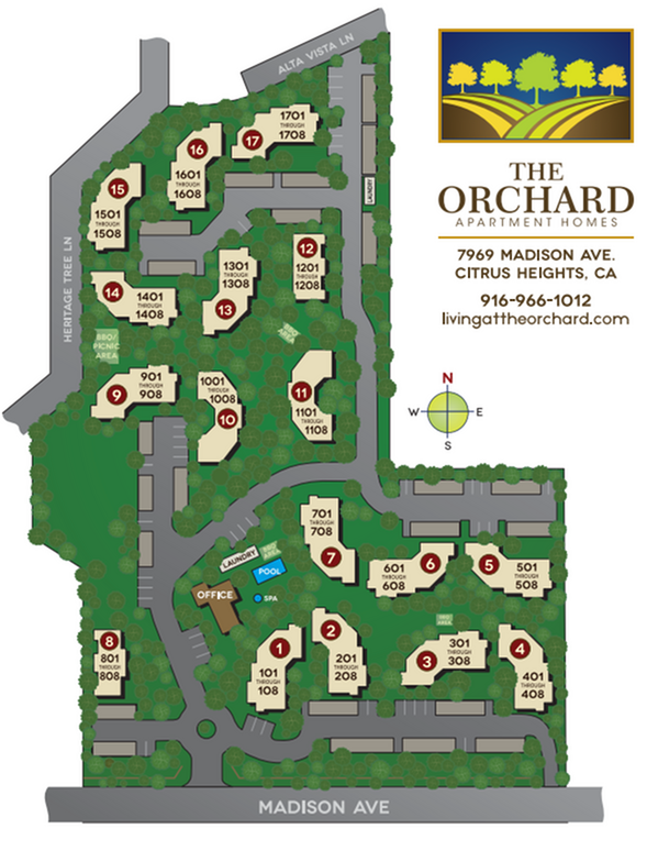 The Orchard Apartments - Photo 7 of 36