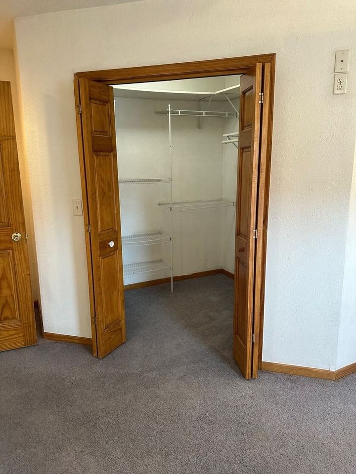 Lily Pads - Photo 3 of 6