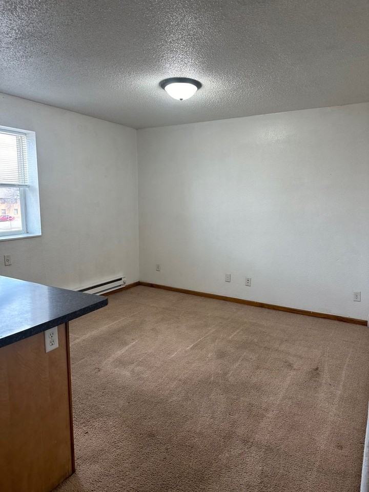 Lily Pads - Photo 5 of 6