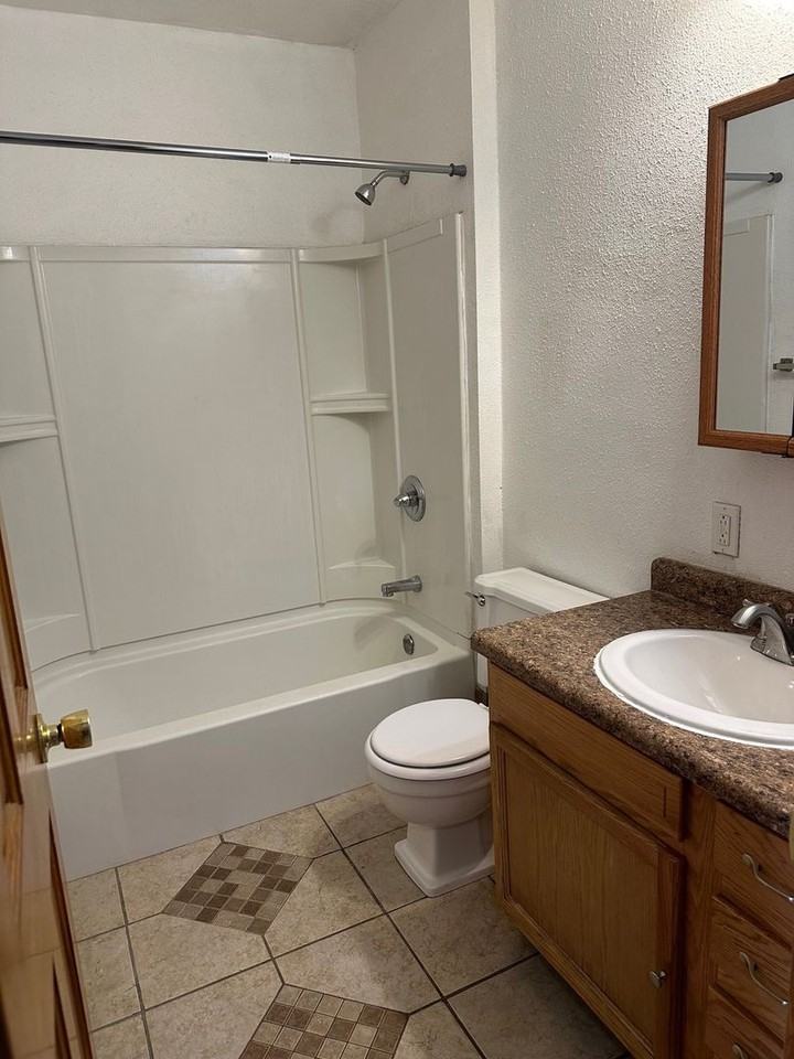 Lily Pads - Photo 6 of 6