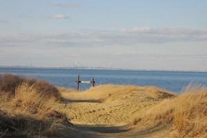 Creek Point Apartments - Photo 3 of 19