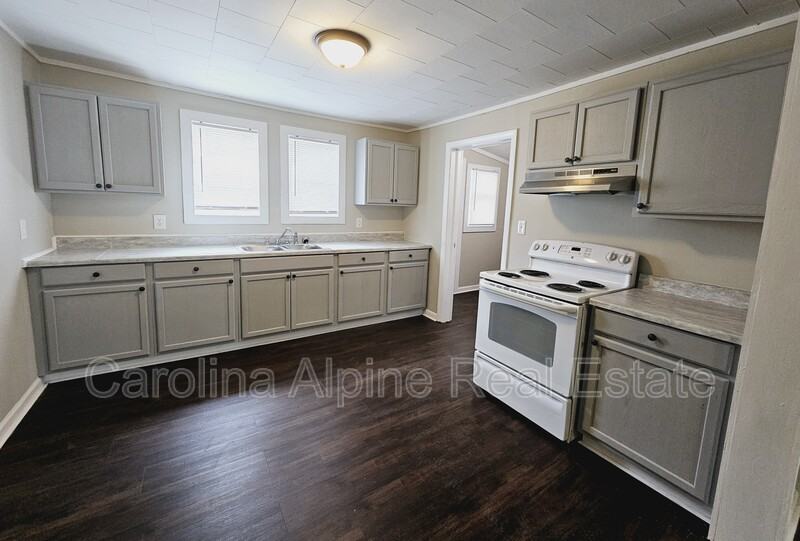 1206 Maple Springs Ch Rd - Photo 3 of 12