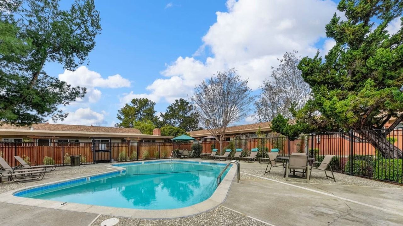 Cherry Blossom - Photo 2 of 5