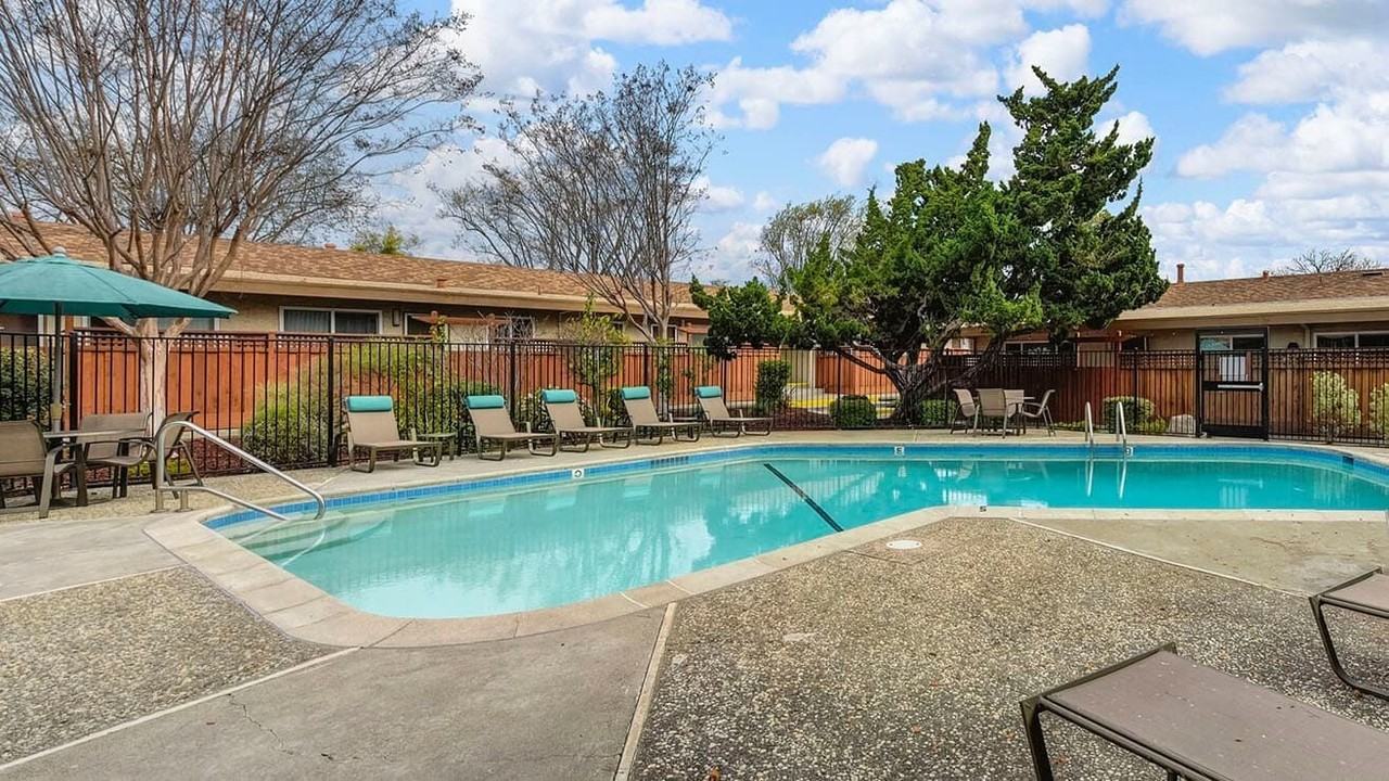 Cherry Blossom - Photo 3 of 5