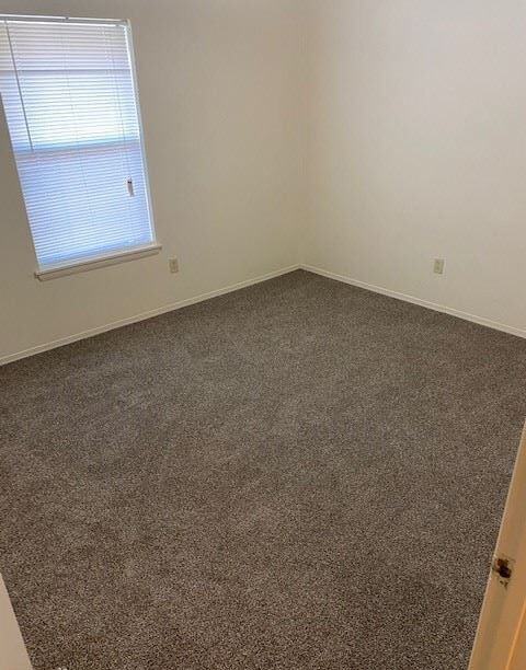 Live Oak Manor Apts - Photo 4 of 6