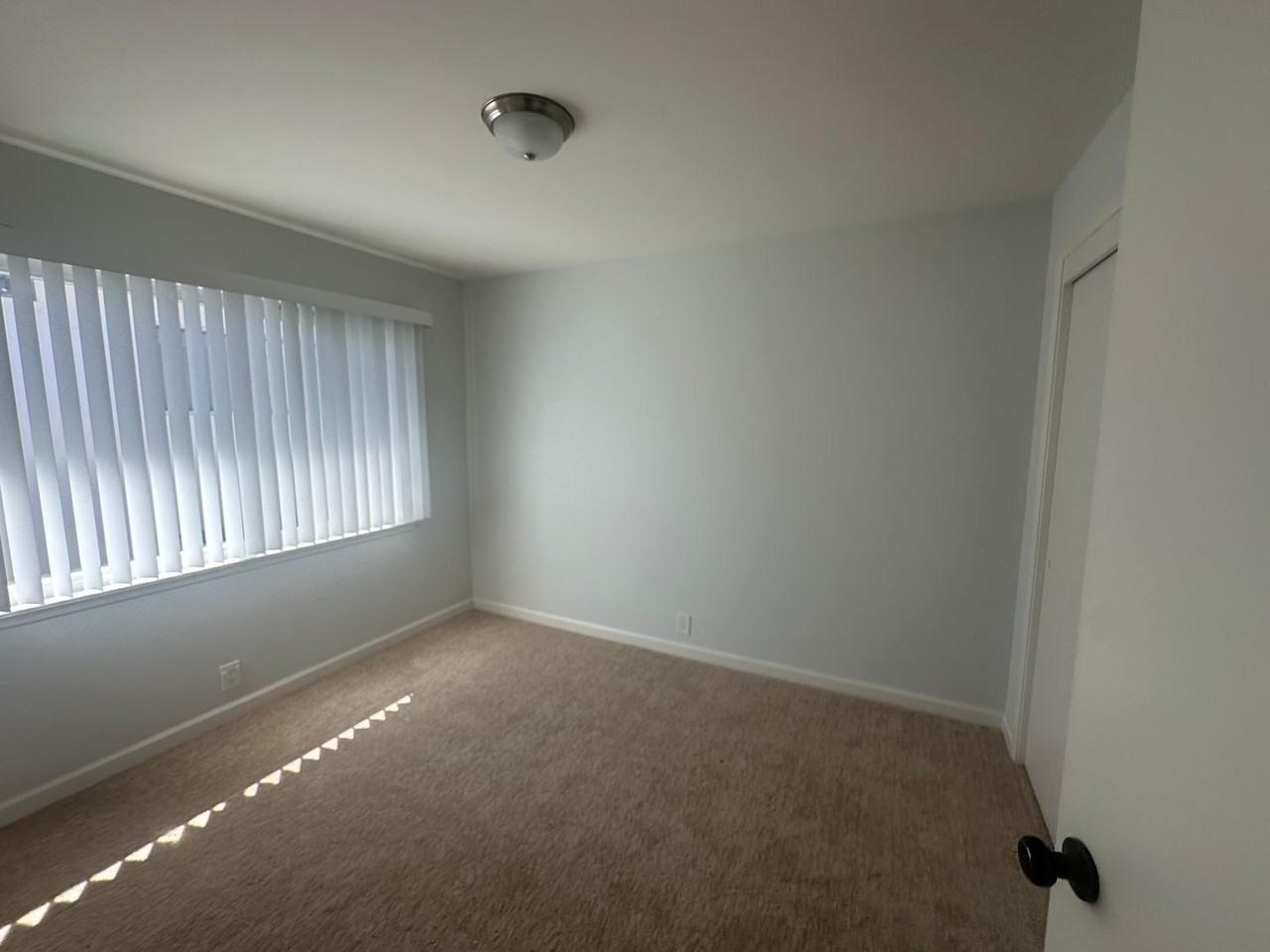 347 - 2301 Flores St - Photo 4 of 12