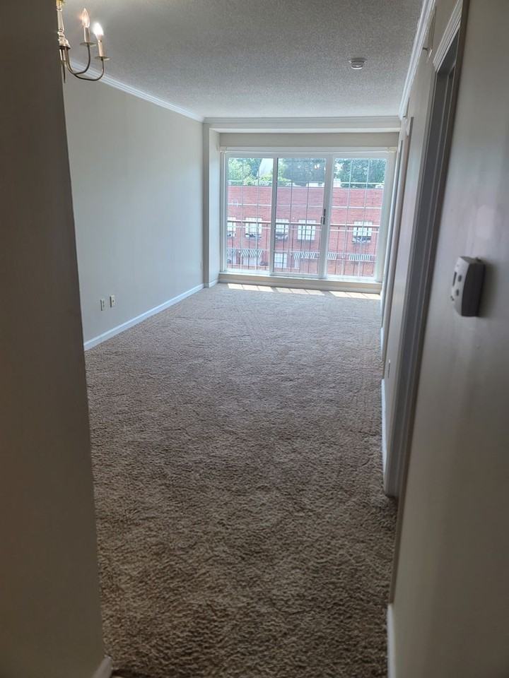 2009 Greene St #404 - Photo 6 of 18