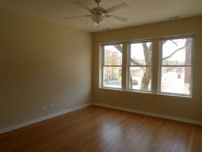 W Addison St #4130-3 - Photo 3 of 5