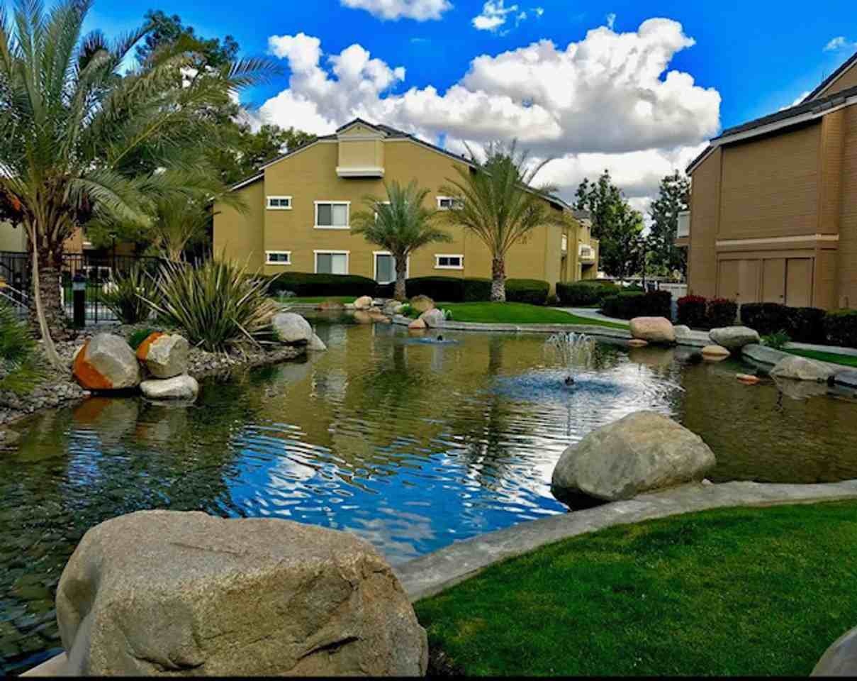 The Springs - Photo 4 of 50