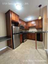 3729 Snelling Avenue South #205 - Photo 1 of 1