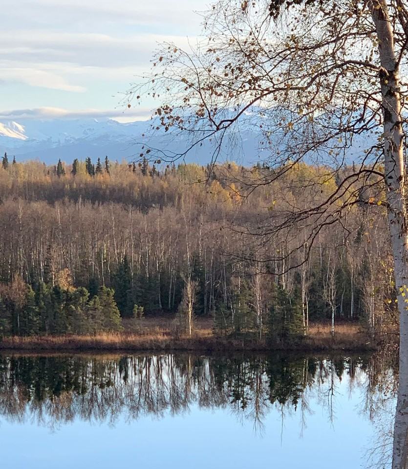 8347 Sundi Dr - Photo 3 of 12