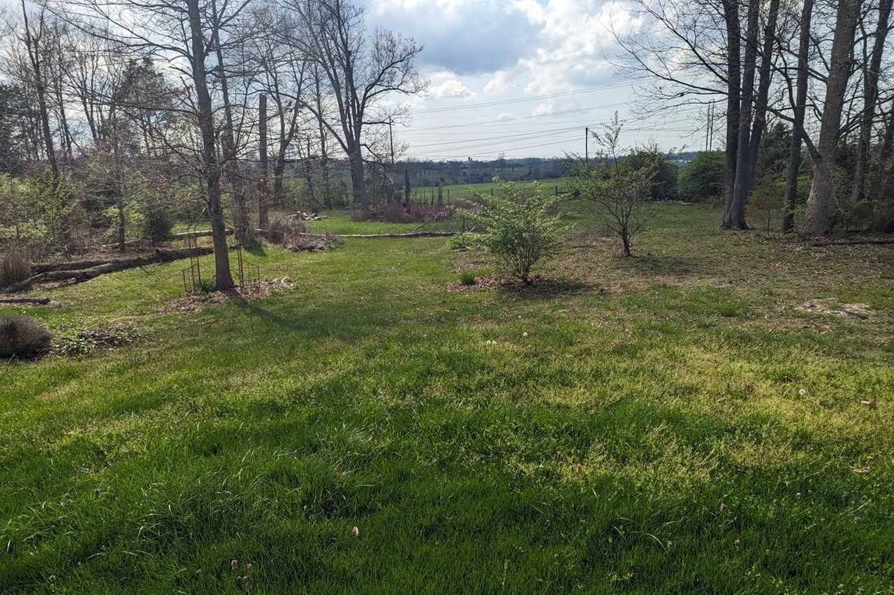 1204 Majestic Woods Dr - Photo 2 of 5