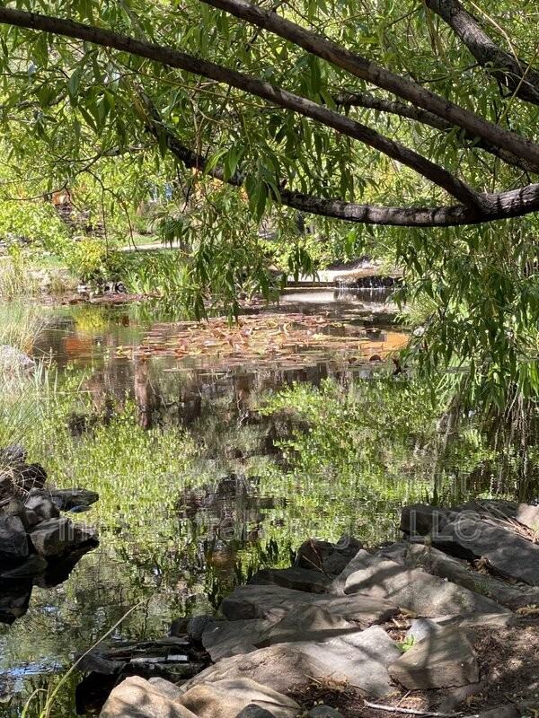 61301 Benham Rd #7 - Photo 3 of 17