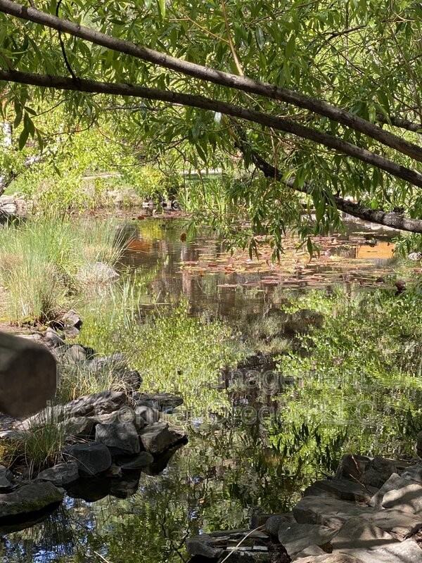 61301 Benham Rd #7 - Photo 4 of 17