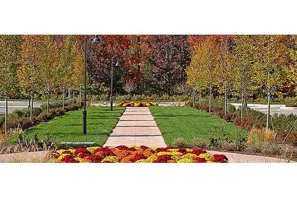 The Village at Taylor Pond - Photo 2 of 27