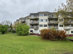 57 Bateman Drive #314 - Photo 1 of 1