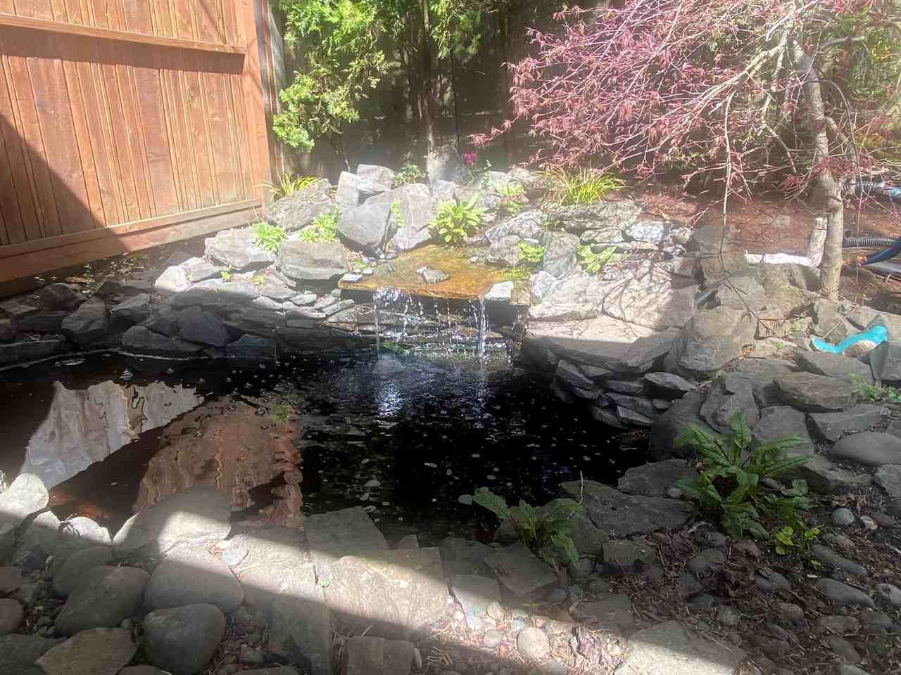 7235 Southwest Canyon Drive - Photo 5 of 14