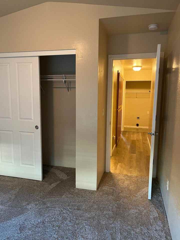 310 Live Oak Loop - Photo 3 of 18