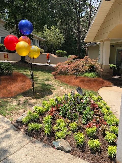 Regal Vista - Photo 4 of 37