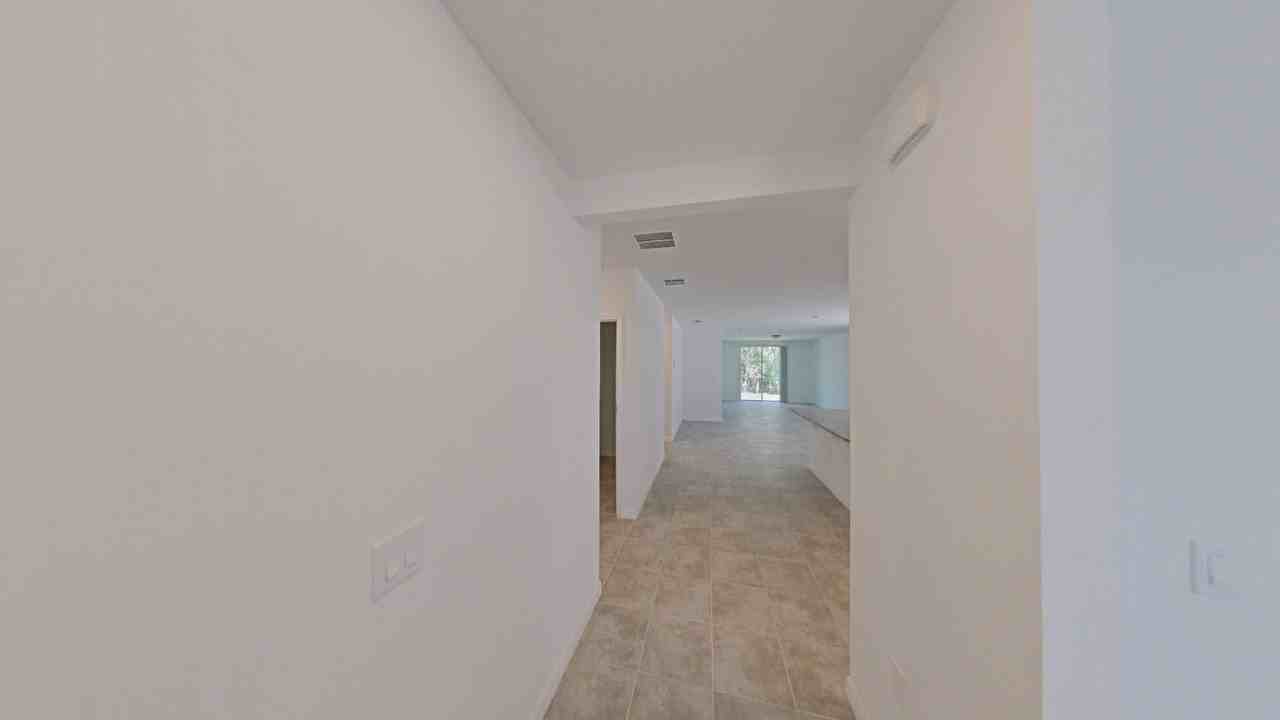 2404 White Tail St - Photo 3 of 13