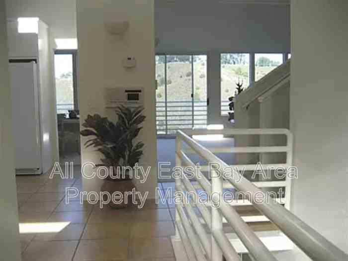 1049 Amito Dr - Photo 3 of 20