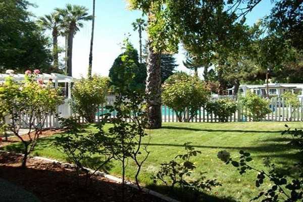 Casa Mobile Park - Photo 3 of 4