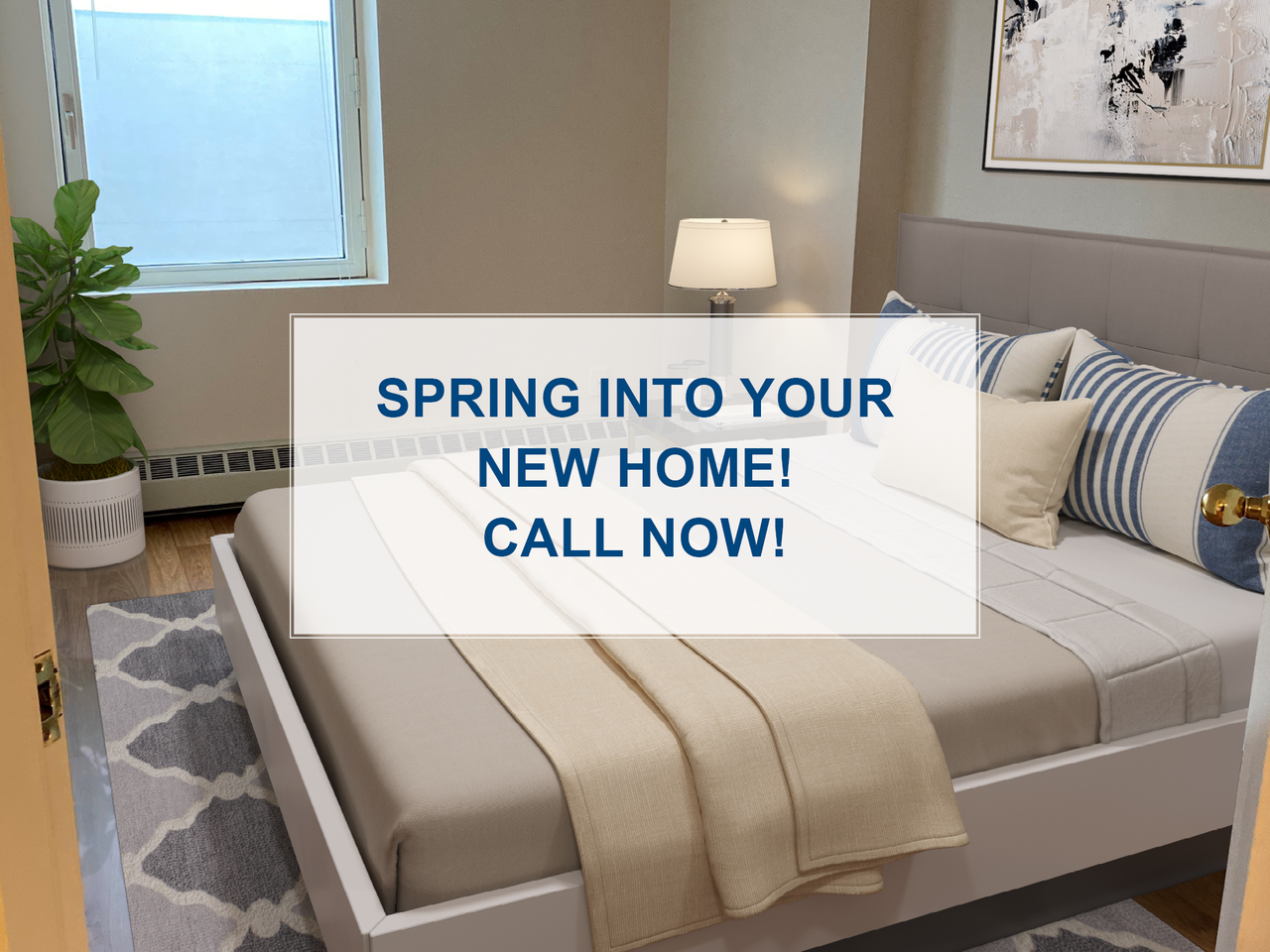 160 Chapel Apartments in Lower Town, Ottawa, ON K1N 8P5 Zumper