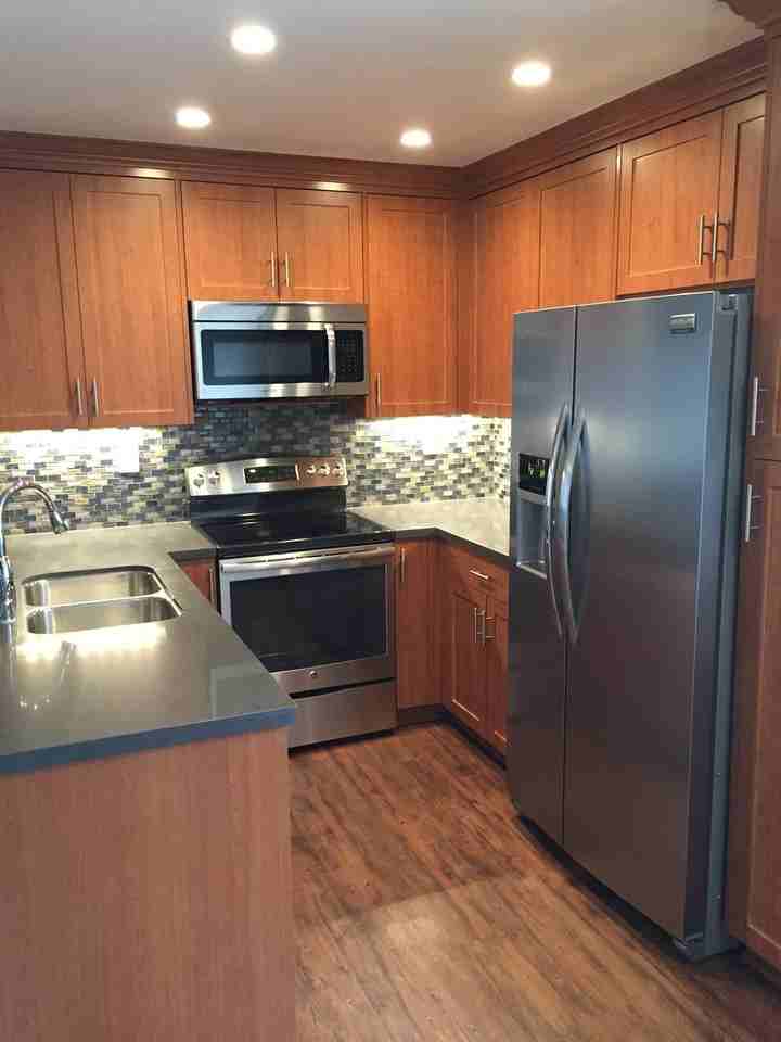 Shasta - Photo 3 of 17