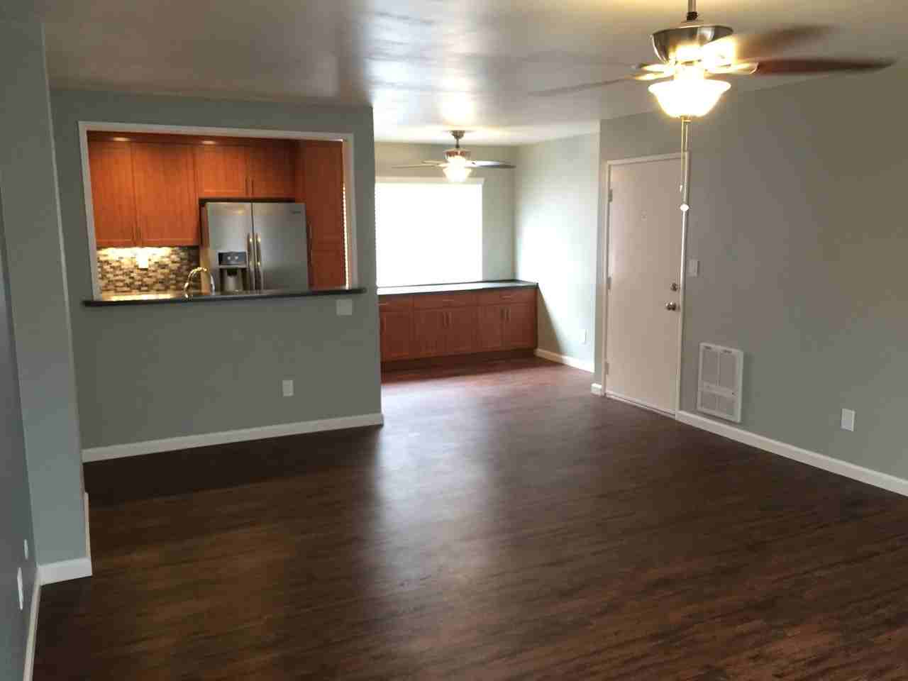 Shasta - Photo 5 of 17