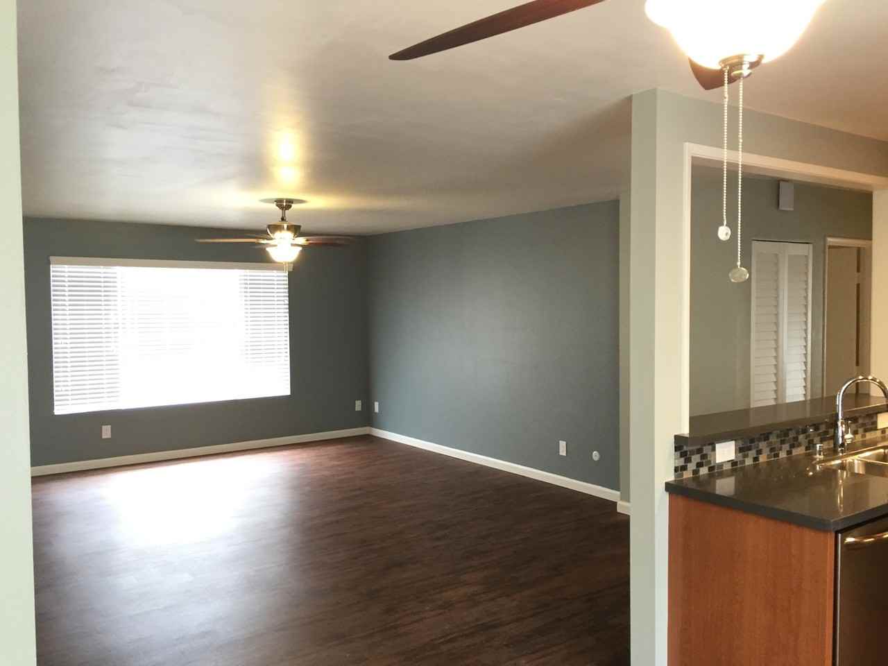 Shasta - Photo 6 of 17