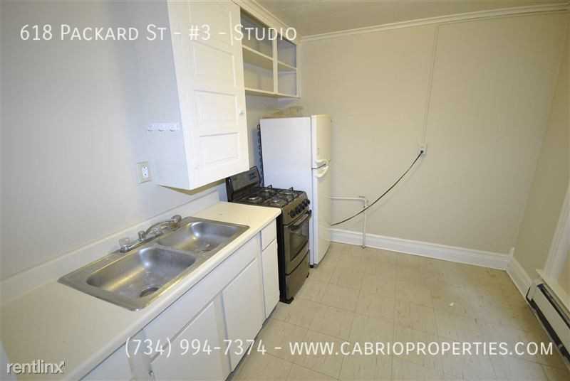 618 Packard St #3STUDIO - Photo 6 of 9