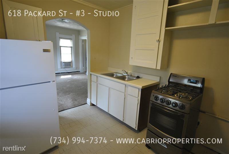 618 Packard St #3STUDIO - Photo 7 of 9