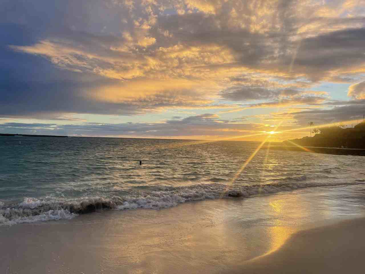 19 Alala Rd #2 - Photo 5 of 50