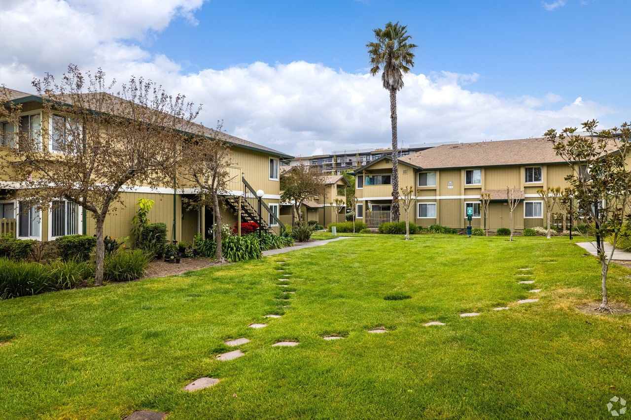 The Meadows - Photo 4 of 16